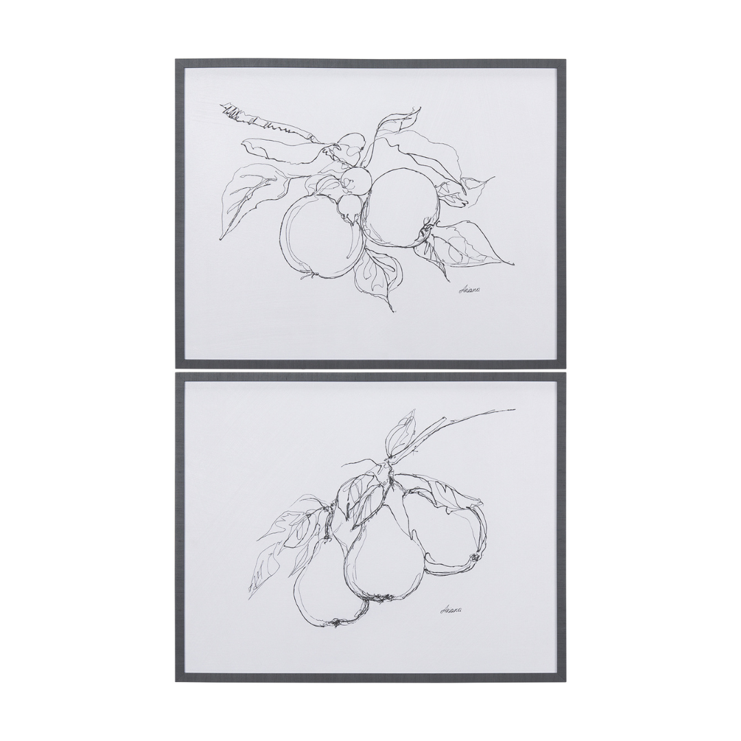 Fruit Sketch - Pear