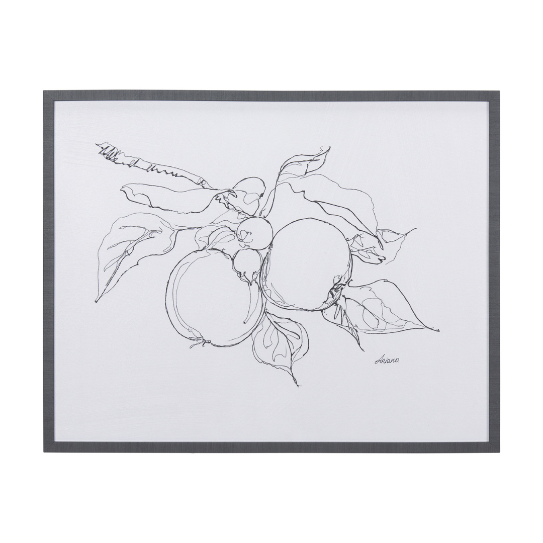 Fruit Sketch - Apple