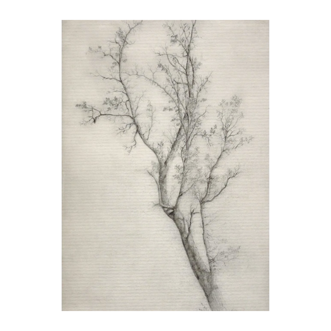 Tree Sketch Print