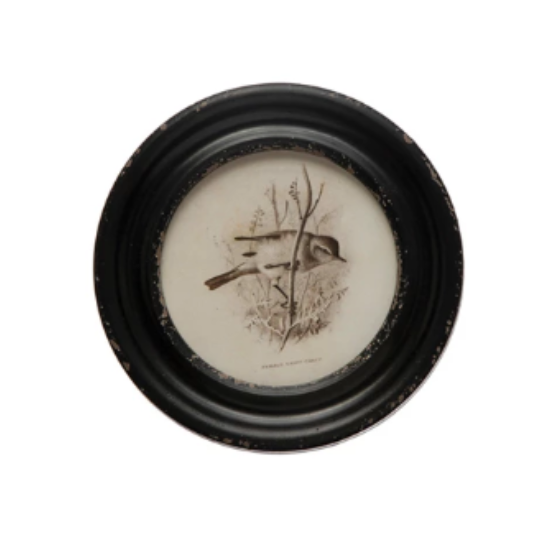 Framed Bird Art