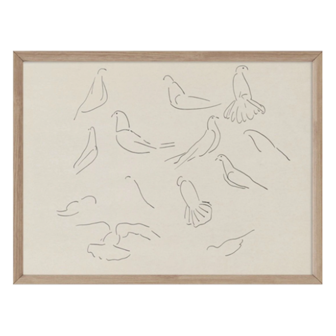 Dove Study Print
