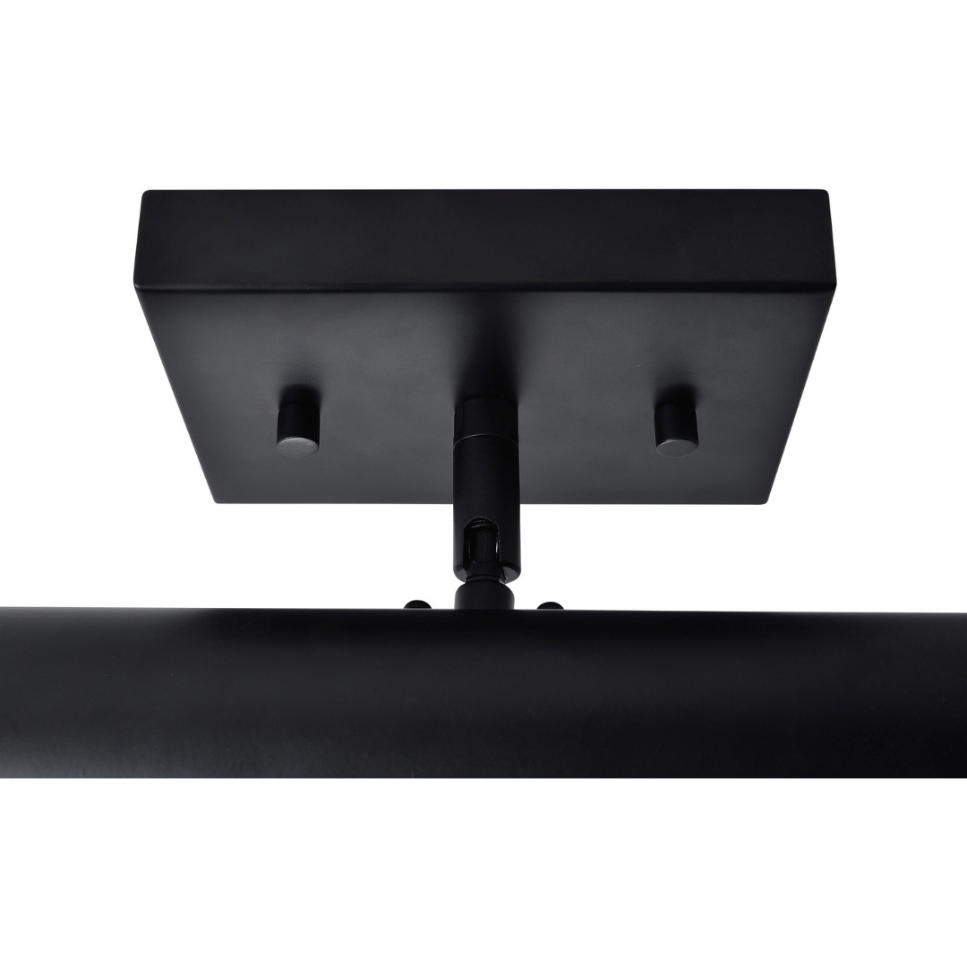 Scotia Picture Light