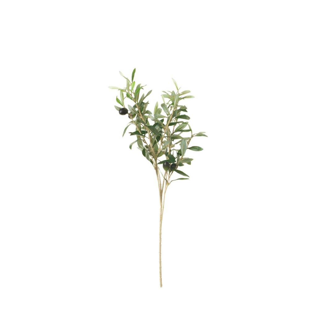 20&quot; Olive Stem
