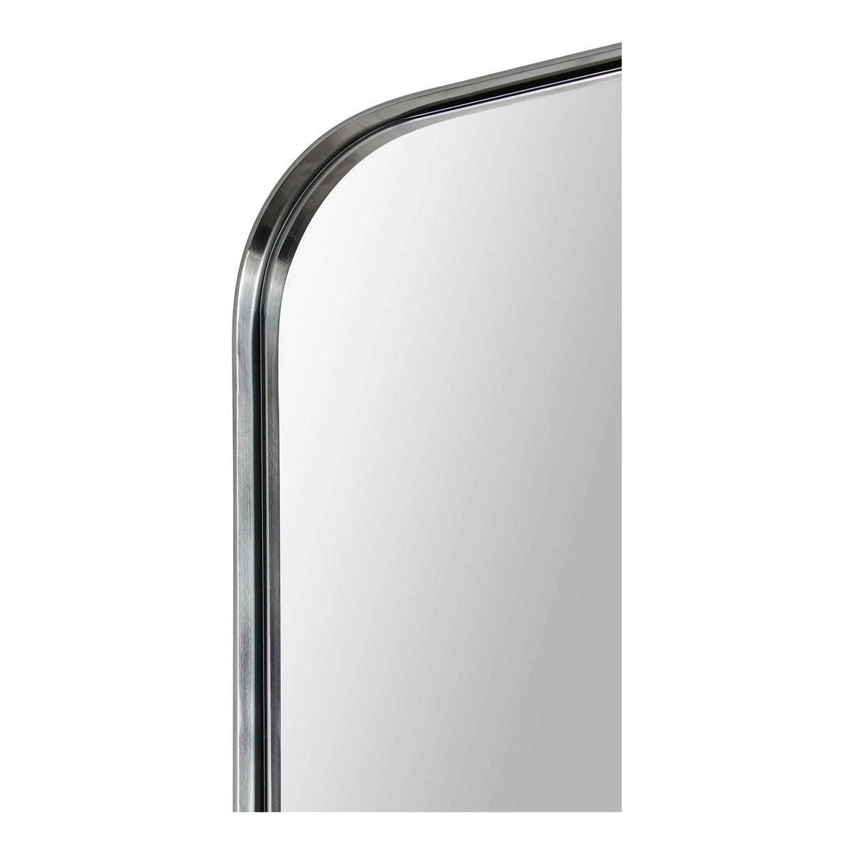 Delphinus Large Mirror